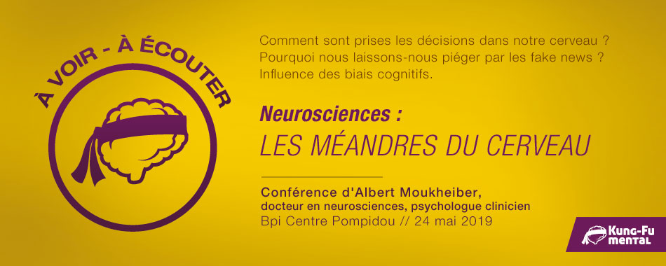 Neurosciences : les méandres du cerveau